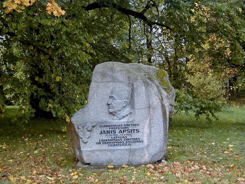 Piemiņas akmens Vecaucē